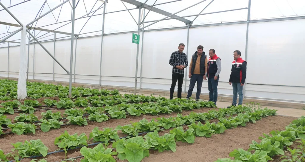 Erzincan modern seracılık