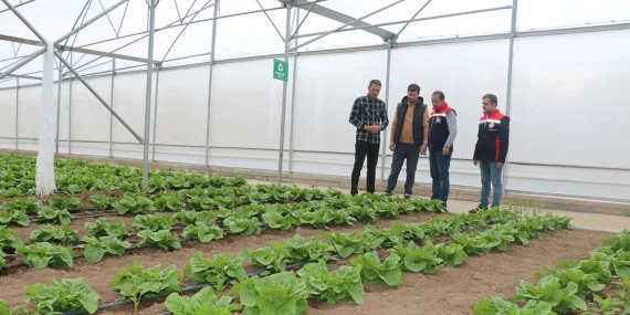 Erzincan’da Modern Seracılık Yatırımları Büyüyor