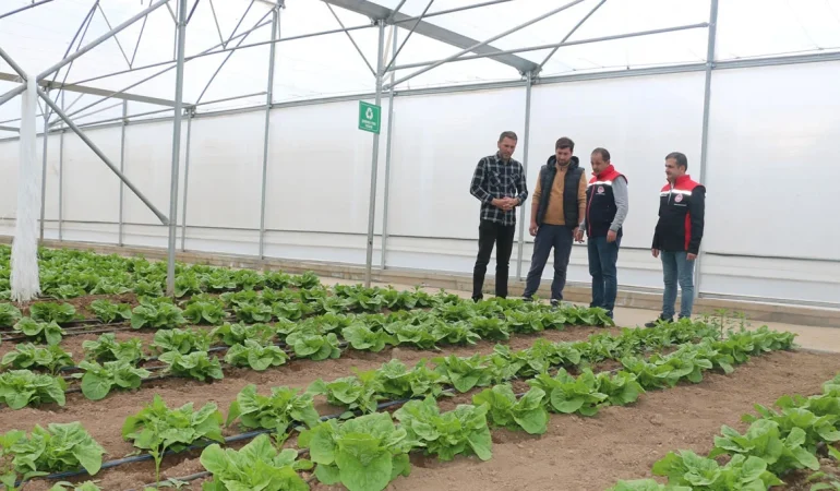 Erzincan’da Modern Seracılık Yatırımları Büyüyor