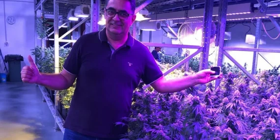Türkiye Tıbbi Kenevir Üretiminde Bölgesel Merkez Olmaya Hazırlanıyor