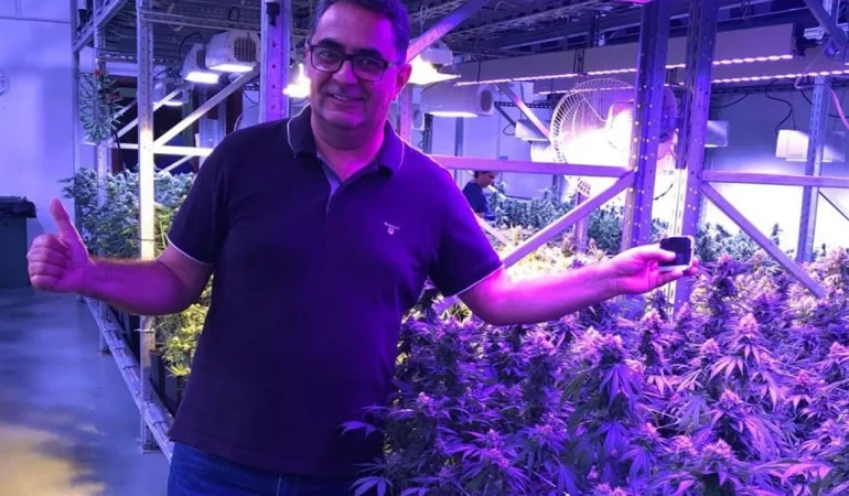 Türkiye Tıbbi Kenevir Üretiminde Bölgesel Merkez Olmaya Hazırlanıyor