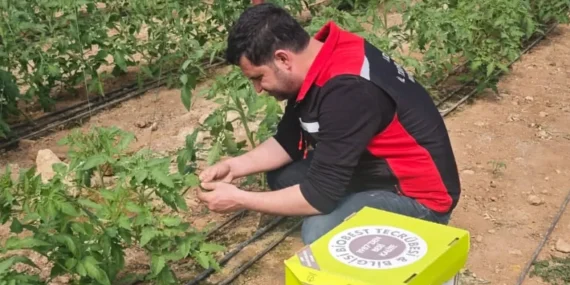 Kozan’da Sera Alanlarında Hastalık ve Zararlı Kontrolleri Yapıldı
