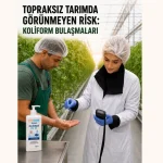 nergis_yar_kolirom_bulasmasi2