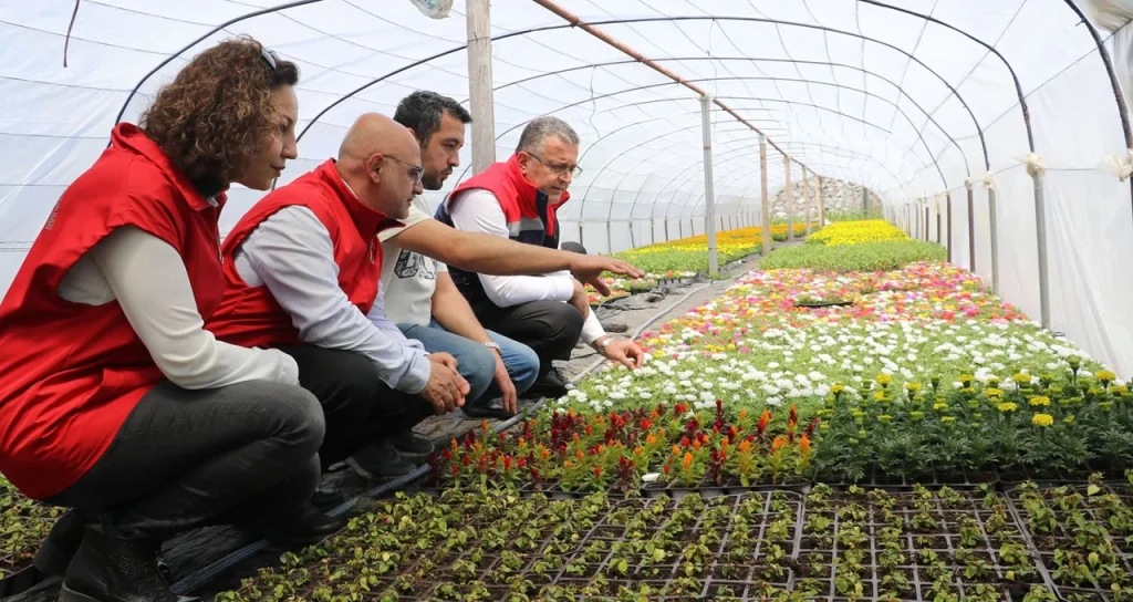 samsun_dokap_11052026_2