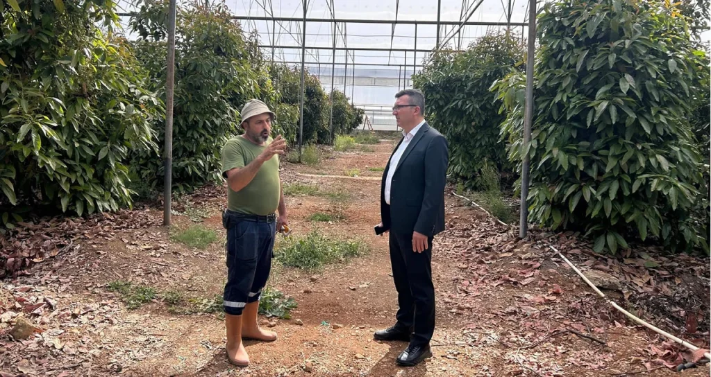 serik_soul_avakadu_serası3