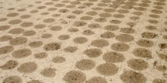 Toprak Altı Damla Sulama Tarımda Yeni Dönemi Başlatıyor