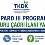 ipard-inografik-2