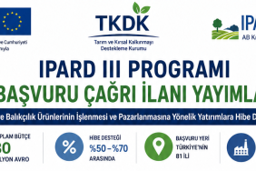 ipard-inografik-2